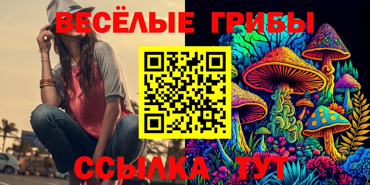 Галлюциногенные грибы ЛСД  Псилоцибиновые грибы мицелий  Кизилюрт  Вход с VPN 